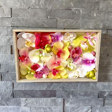 DIY - Orchid Art Wall Art - Exotic Orchid Blooms in a Wooden Frame