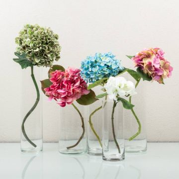 Dancing Hydrangeas Dancing Hydrangeas