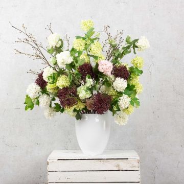 Snow in summer? Snow in summer?