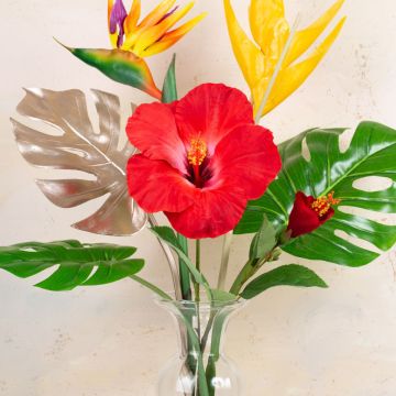 Summer Vibes Summer Vibes