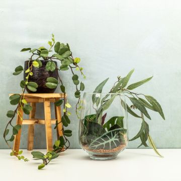 Jungle in a glass