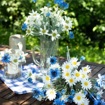 Oktoberfest - O'zapft is Oktoberfest - O'zapft is