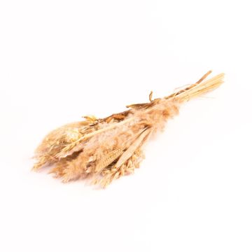 Dried bouquet DILIANE, white-natural, 20"/50cm, Ø6"/15cm