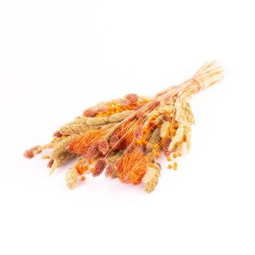 Dried bouquet FLORALIE, orange-natural, 22"/55cm, Ø7.1"/18cm Dried bouquet FLORALIE, orange-natural, 22"/55cm, Ø7.1"/18cm