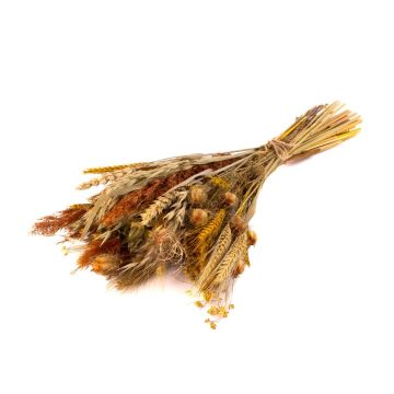 Dried bouquet CARMENTA, yellow-natural, 20"/50cm, Ø8"/20cm Dried bouquet CARMENTA, yellow-natural, 20"/50cm, Ø8"/20cm