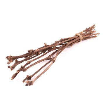Bunch of grapevine twigs RAGGA, 10 pieces, natural, 24"/60cm