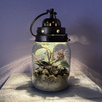 Industrial Bottle Garden Industrial Bottle Garden