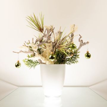 Snowy landscape Snowy landscape