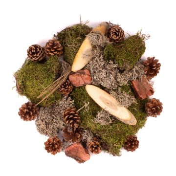 Deco-confetti QUIKISA made of moss, cones, wood, lichen, green-brown, 500g