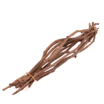 Vine twigs bunch ROSHAN, dried, 10 pieces, natural, 26"/65cm