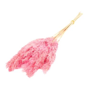 Dried reed bunch DONJETA, pink, 28"-31"/70-80cm, Ø6"/15cm