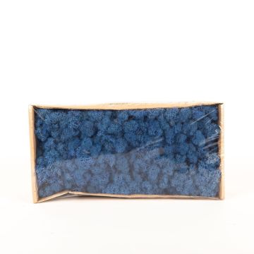 Genuine Icelandic moss SVEINBJÖRN, royal blue, 500g