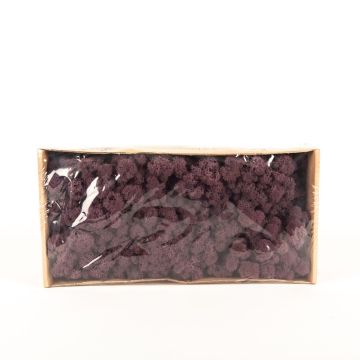 Genuine Icelandic moss SVEINBJÖRN, aubergine, 500g
