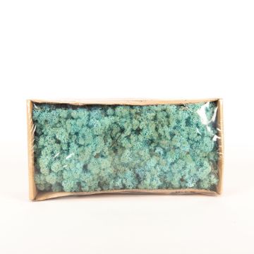 Genuine Icelandic moss SVEINBJÖRN, turquoise blue, 500g