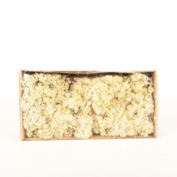 Genuine Icelandic moss SVEINBJÖRN, ivory, 500g