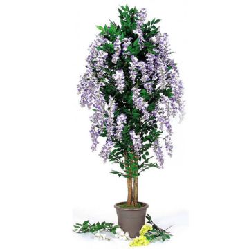 Decorative wisteria MALENKA, natural stems, with flowers, purple, 4ft/125cm - Made in Italy