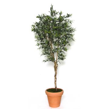 Decorative olive tree LORENZO, real stem, fruits, stoneware pot, 6ft/175cm - Made in Italy