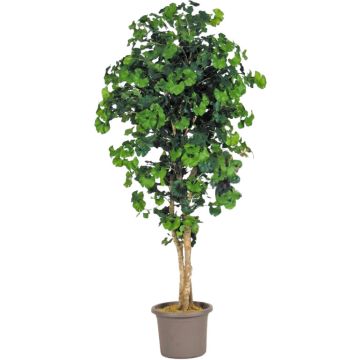 Artificial ginkgo LUDOWIKA, real stems, green, 4ft/125cm - Made in Italy Artificial ginkgo LUDOWIKA, real stems, green, 4ft/125cm - Made in Italy