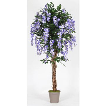 Artificial wisteria ANNIARA, real stems, with flowers, purple, 6ft/175cm - Made in Italy