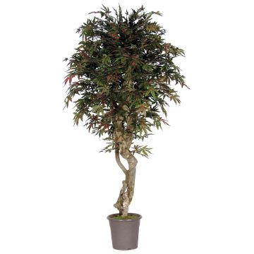 Artificial Japanese maple KYRYLO, real stem, green-red, 6ft/175cm - Made in Italy Artificial Japanese maple KYRYLO, real stem, green-red, 6ft/175cm - Made in Italy