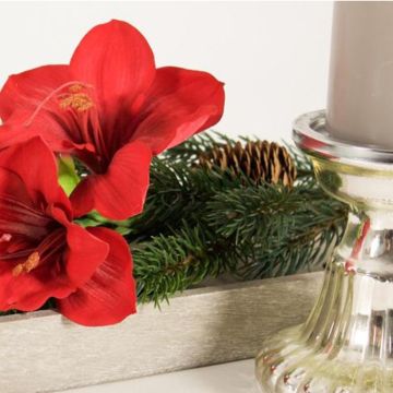 Stylish advent Stylish advent