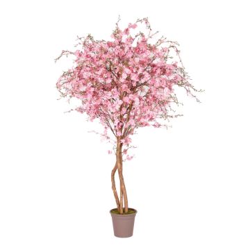 False peach tree MILTRAUD, natural stems, blossoms, pink, 6ft/175cm - Made in Italy False peach tree MILTRAUD, natural stems, blossoms, pink, 6ft/175cm - Made in Italy