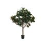 Artificial Magnolia tree CETTINA, real stem, flowers, white, 5ft/150cm