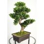 Artificial Boxwood Bonsai JELKO, aerial roots, bonsai pot, 26"/65cm