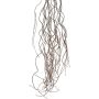 Artificial branch Corkscrew willow MOVINA, hanging, dark brown, 6ft/170cm