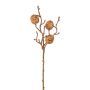 Artificial branch Walnut FRALMO with fruits, brown, 16"/40cm