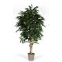 Artificial longifolia MARIANKA, natural stems, green, 6ft/175cm - Made in Italy