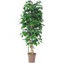 Artificial oak MIREEN, natural stems, with fruits, green, crossdoor, 5ft/150cm - Made in Italy
