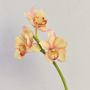 Artificial Cymbidium orchid spray SERAPHINA, yellow-light pink, 18"/45cm