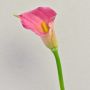 Artificial calla lily TALEA, pink, 26"/65cm, 3.5"x4.3"/9x11cm