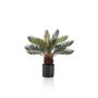 Decorative palm Cycas NEREO, 18"/45cm