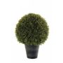 Artificial boxwood TOM in planter, crossdoor, 21"/53cm, Ø16"/40cm