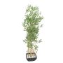 Artificial Bamboo YUKIKO, artificial stems, decorative bowl, 5ft/150cm