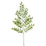 Decorative leaf Fishtail palm MAXIN, 4ft/130cm