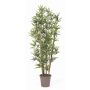 Artificial bamboo KUSJA, natural bamboo sticks, crossdoor, 6ft/175cm - Made in Italy