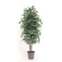Decorative Ficus Benjamina KONRADE, real stems, green-white, 6ft/175cm - Made in Italy