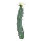 Artificial columnar cactus SHUNLI with flowers, spike, cream, 9"/23cm