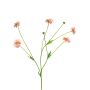Artificial Centaurea TAOTAO, pink, 26"/65cm