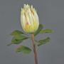 Artificial Protea SHUHUI, white, 24"/60cm