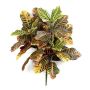 Artificial croton ANNUKKA on spike, multi-coloured, 30"/75cm