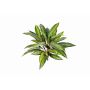 Artificial Dragon tree MERON, on spike, green-yellow, 20"/50cm