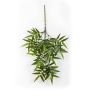 Fake Bamboo spray OSHA, green, 22"/55cm