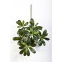 Artificial Pittosporum spray MASON, green, 16"/40cm