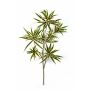 Artificial Dracaena reflexa branch MAYRA, green-yellow, 31"/80cm