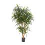 Artificial Dracaena Reflexa Anita KATARA, real stems, green, 5ft/150cm