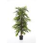 Fake Ficus Longifolia AKUMO, real stems, green, 5ft/150cm